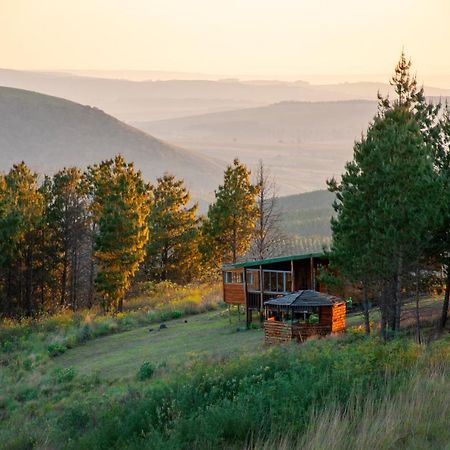 Dargle Forest Lodge Dış mekan fotoğraf