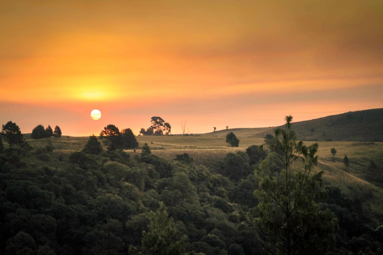 Dargle Forest Lodge Dış mekan fotoğraf