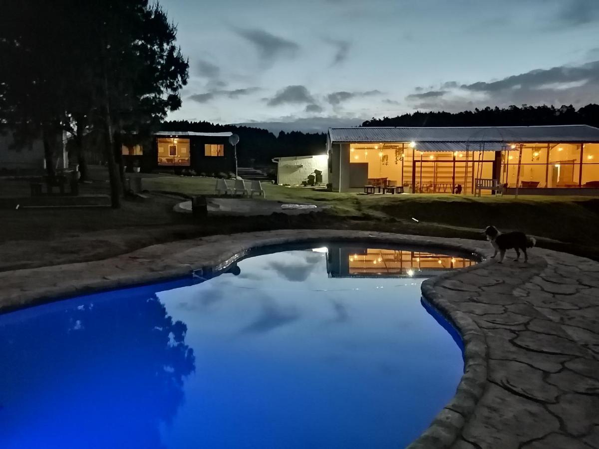 Dargle Forest Lodge Dış mekan fotoğraf