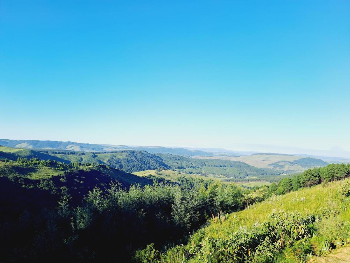 Dargle Forest Lodge Dış mekan fotoğraf