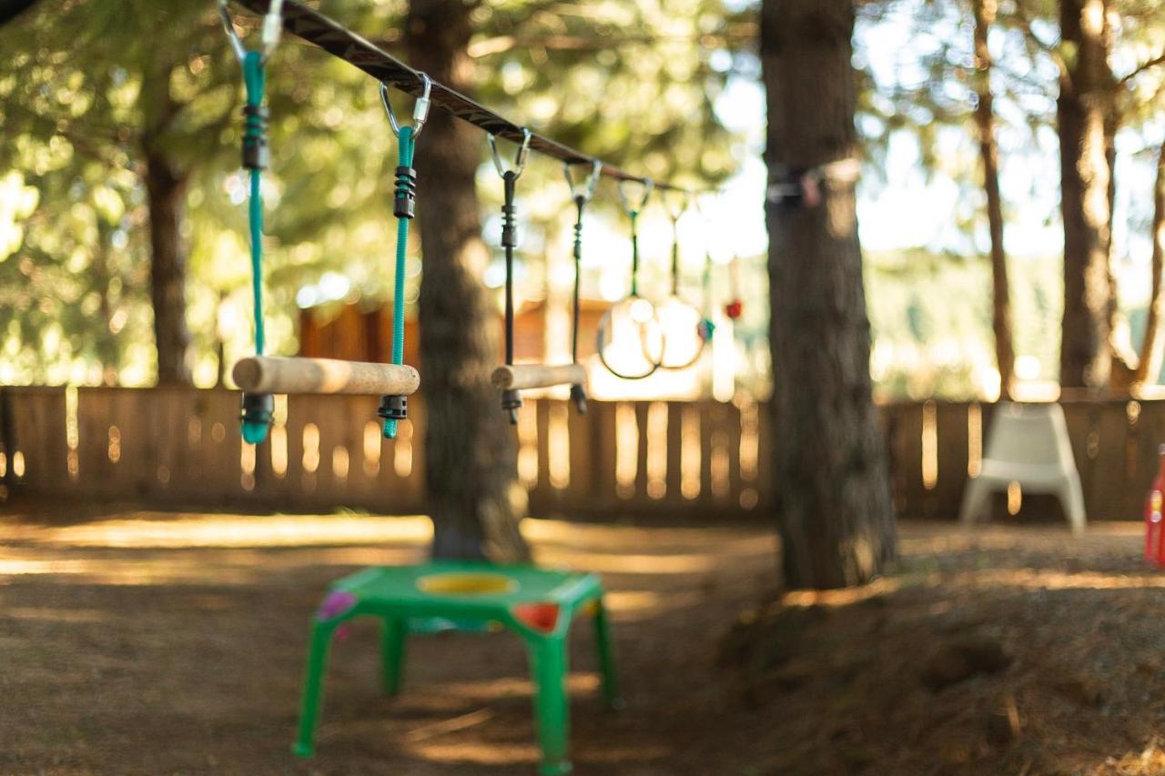 Dargle Forest Lodge Dış mekan fotoğraf