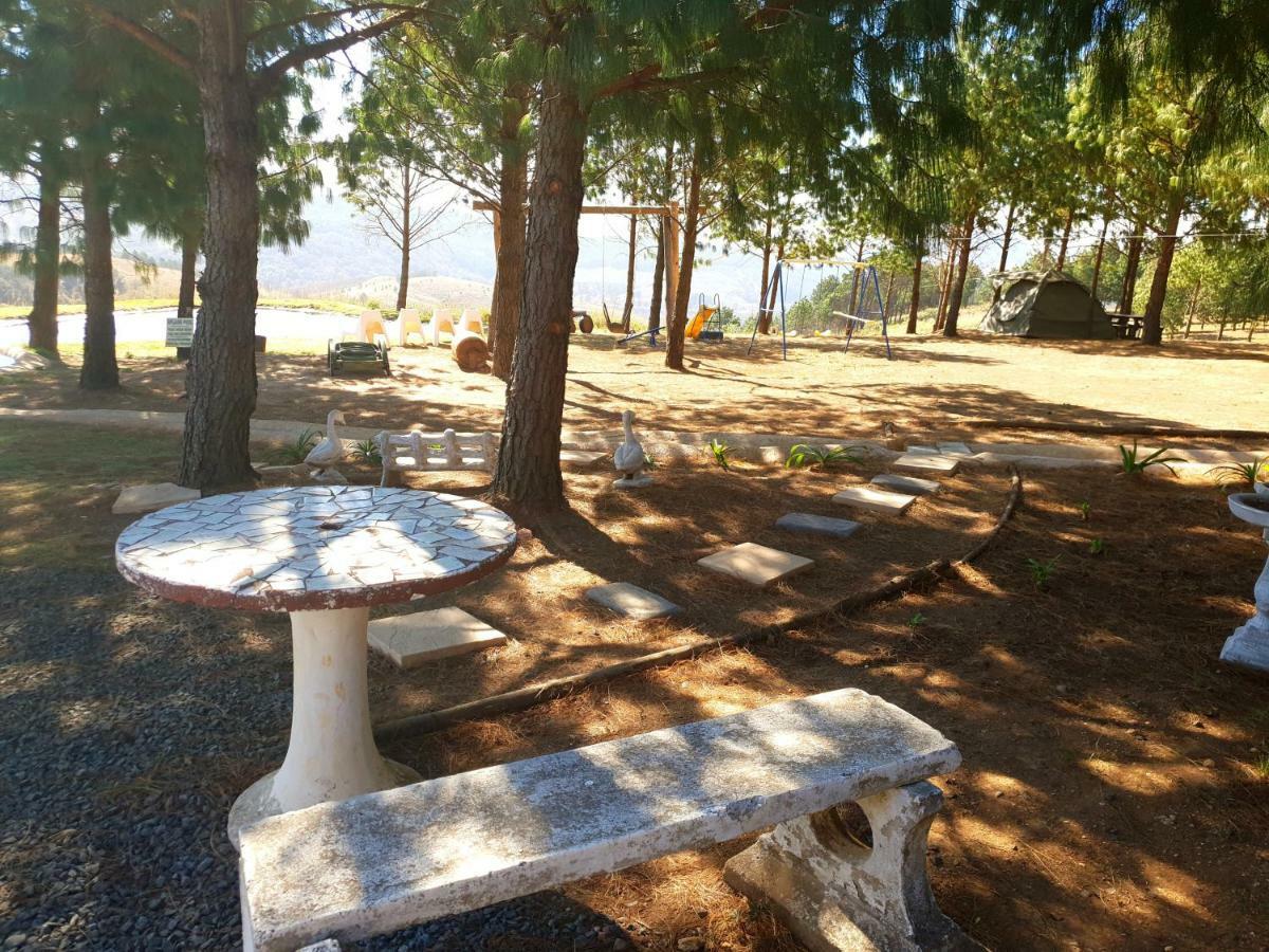 Dargle Forest Lodge Dış mekan fotoğraf
