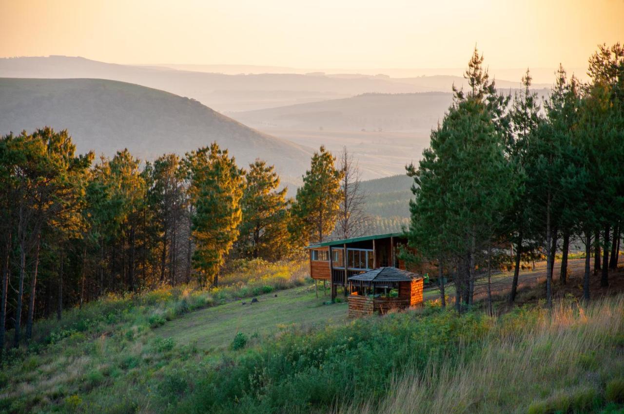 Dargle Forest Lodge Dış mekan fotoğraf